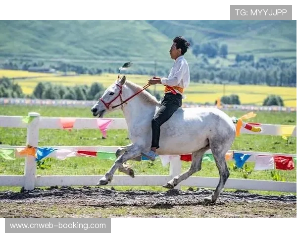 恰青赛马节新增4龄以下小马组别彰显公平竞赛理念